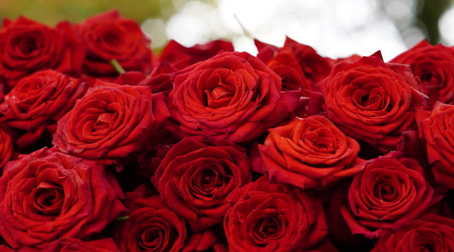 DIY Flower Bouquet Wrapping Ideas – Rosaholics
