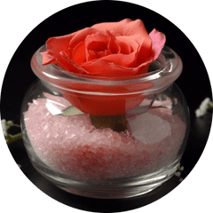 How To Preserve Dried Roses: 6 Surprisingly Easy Methods