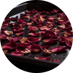 How to Dry Rose Petals Story - Little Yellow Wheelbarrow