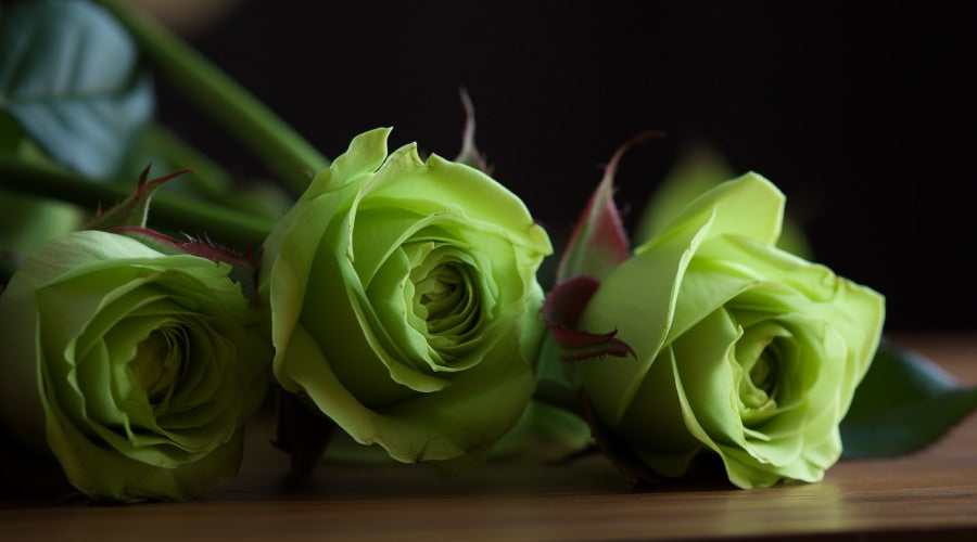 three green roses
