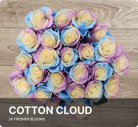 Cotton Cloud Bunch