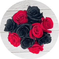 red and black roses
