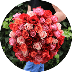 bouquet of roses