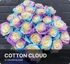 Cotton cloud