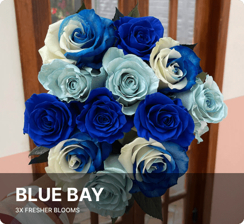 blue and white roses for sister