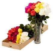 subscription flowers