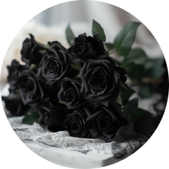 Black Colored Roses