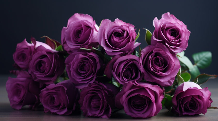 Essential Facts About Purple Roses