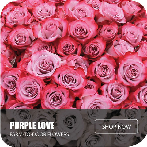 Purple Love Bouquet