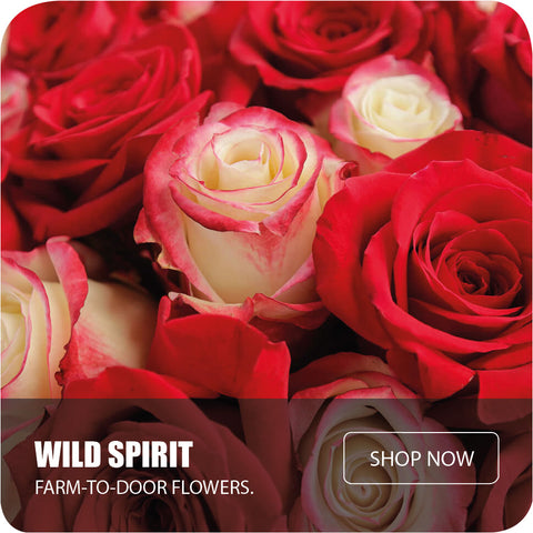 Wild Spirit Rose Bouquet