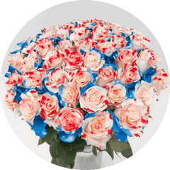 America Roses