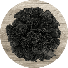 Black Dragon Roses