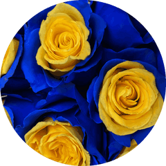 "Blue N' Yellow" bouquet