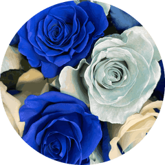 Blue Bay rose bouquet