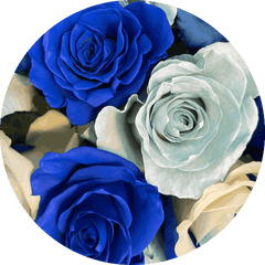 Blue Bay Rose Bouquet