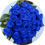 Blue Lagoon roses