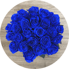 Blue Lagoon Rose