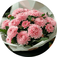 Chrysanthemums