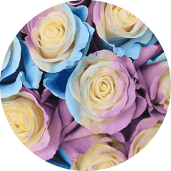 Cotton Cloud | Multicolor Rose Bouquet