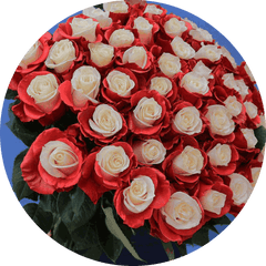 Dolce Amore rose bouquet
