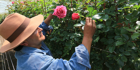 Eco-friendly flowers