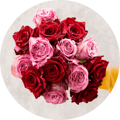 Bouquet of pink and red roses