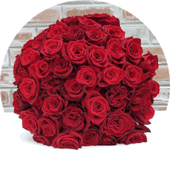 Red Explosion Rose Bouquet