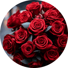 Close-up of dark red roses