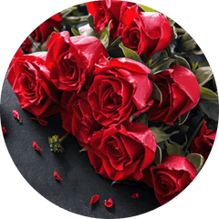 Red Roses for Valentine's Day