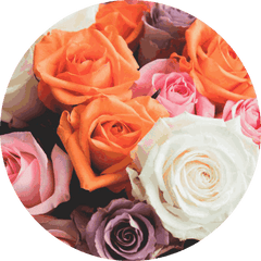 Viva La Vida Rose Bouquet