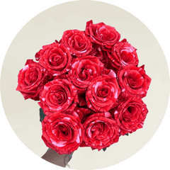 Wildcat Rose Bouquet