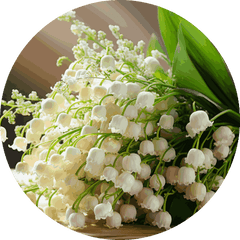 White lily of the valley bouquet