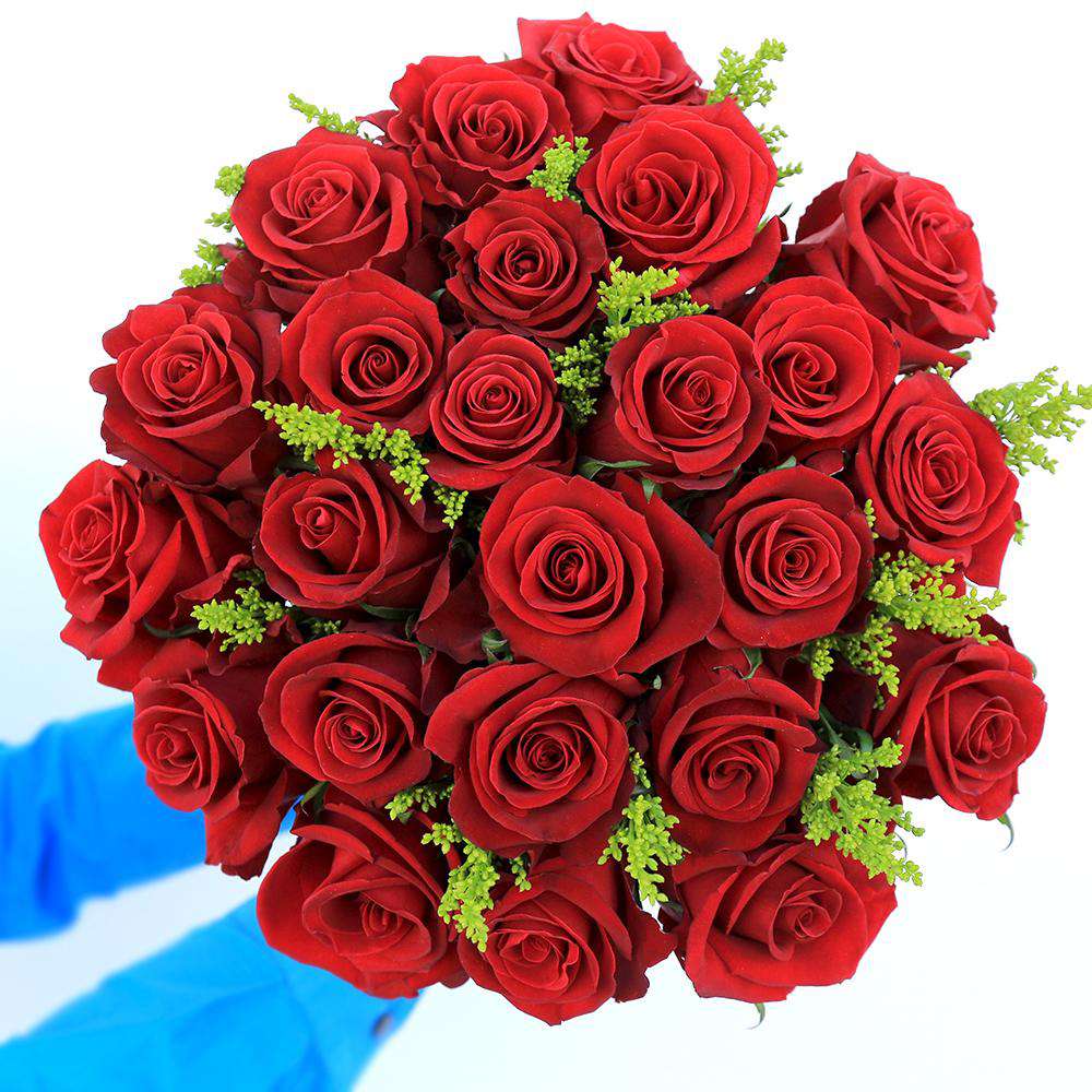 Send a Bouquet of Red Roses for Delivery | Rosaholics