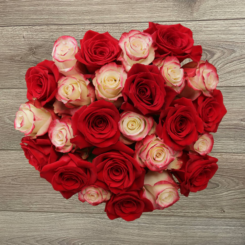 Fresh Roses Delivery Online Store | Rosaholics