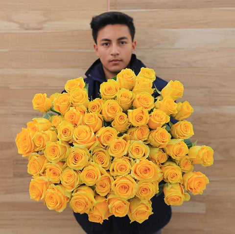 What Yellow Roses Symbolize And When To Send Them Rosaholics