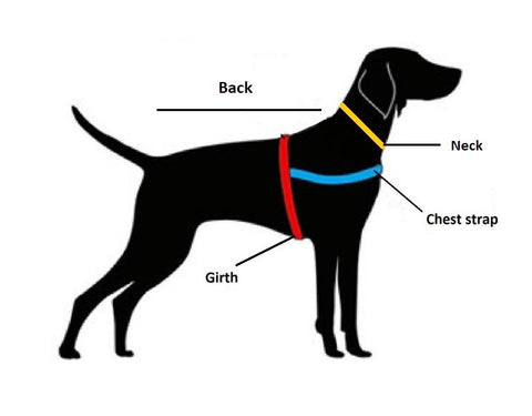 Puccissime product measurements