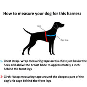how do you measure the girth of a dogs breast