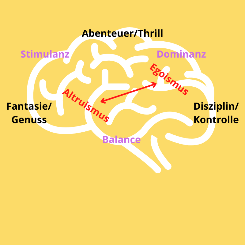 Machtkampf im Kopf: Egoismus vs. Altruismus