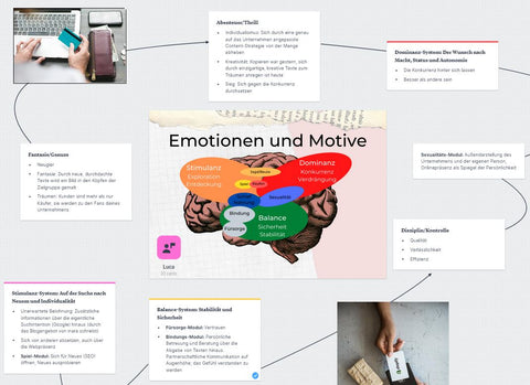 Für unsere Buyer Persona analysieren wir die bei der Zielgruppe aktiven Emotions- und Motivationssysteme.