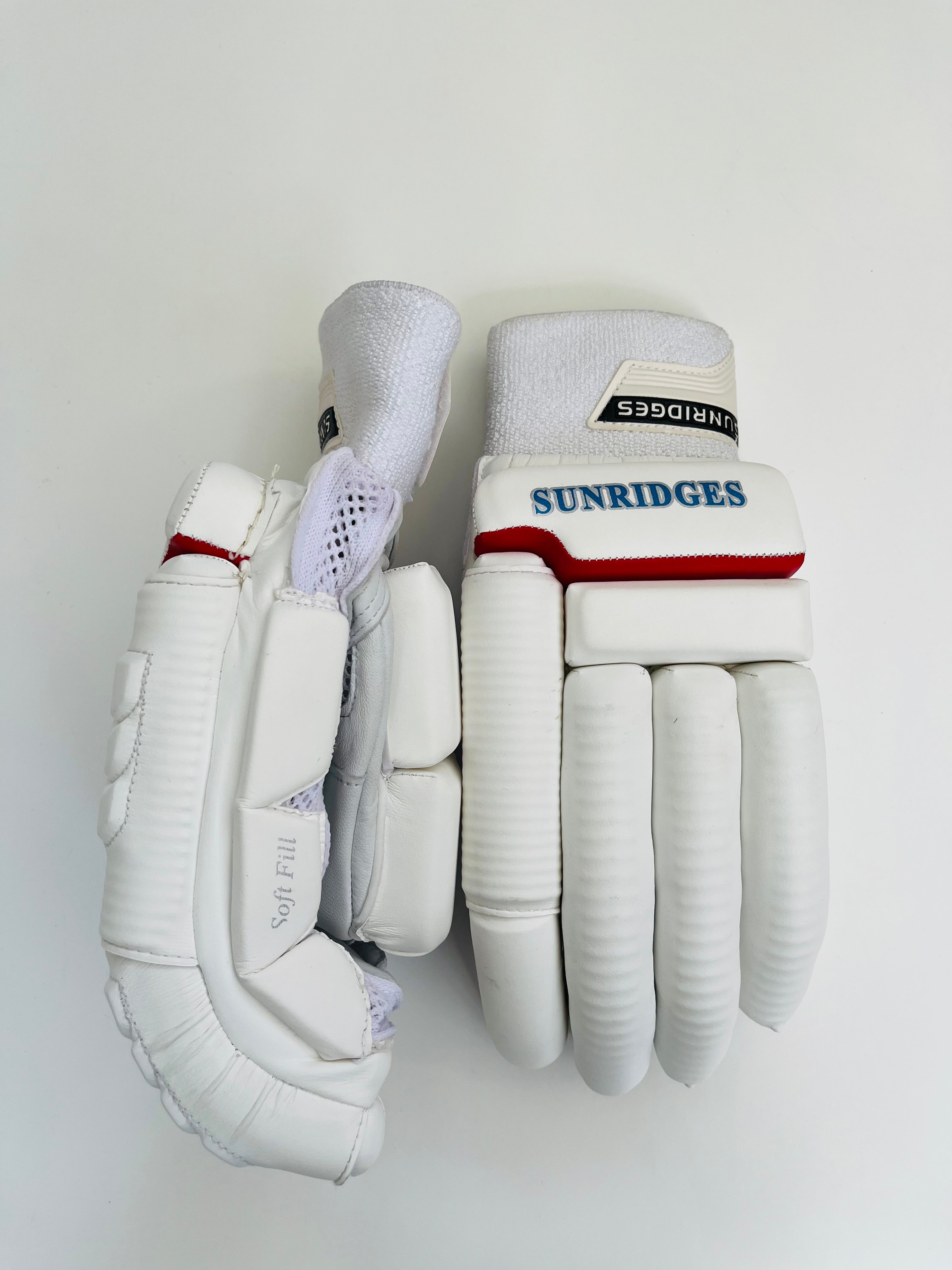 SS TON Test Pro Cricket Batting Gloves