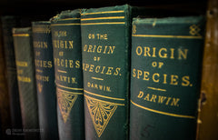 Darwins origin of species book covers