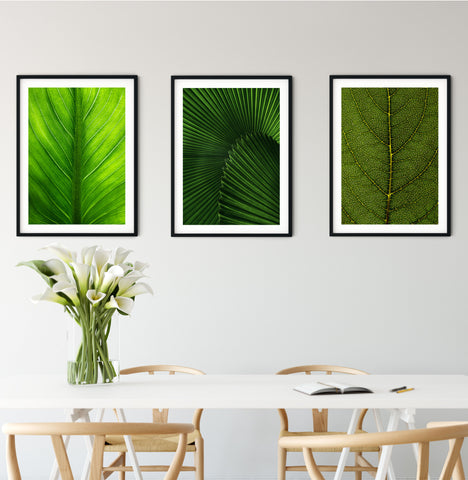 leaf textures framed prints in a minimalist setting