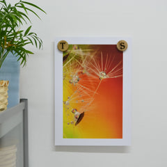 Botanical poster of a dandelion seed held with magnetic poster hangers