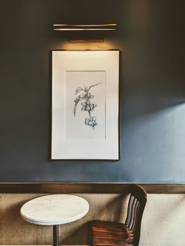Framed botanical prints in a cafe