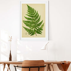 Botanical fern art print by Anne Pratt on dining room wall