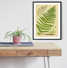 botanical print of a fern next to a console table with plant