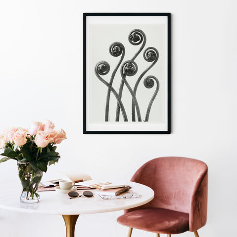 Black and white botanical print in a dining room setting