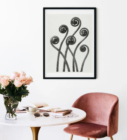 Ferns framed print by Karl Blossfeldt