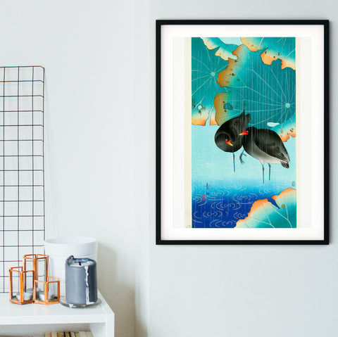 Moorhens by Komori, Japanese art prints on the wall