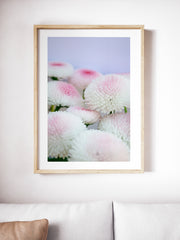 Large botanical prints above key pieces of furniture such as this sofa